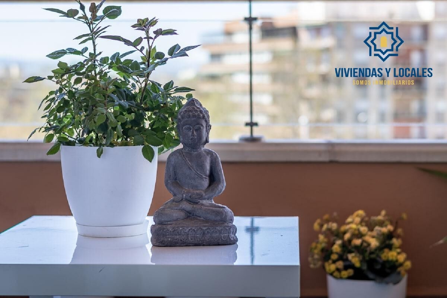  à vendre appartement Barrio De Granada Alacantí 5