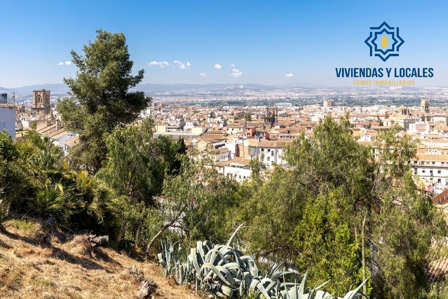  à vendre appartement Barrio De Granada Alacantí 3