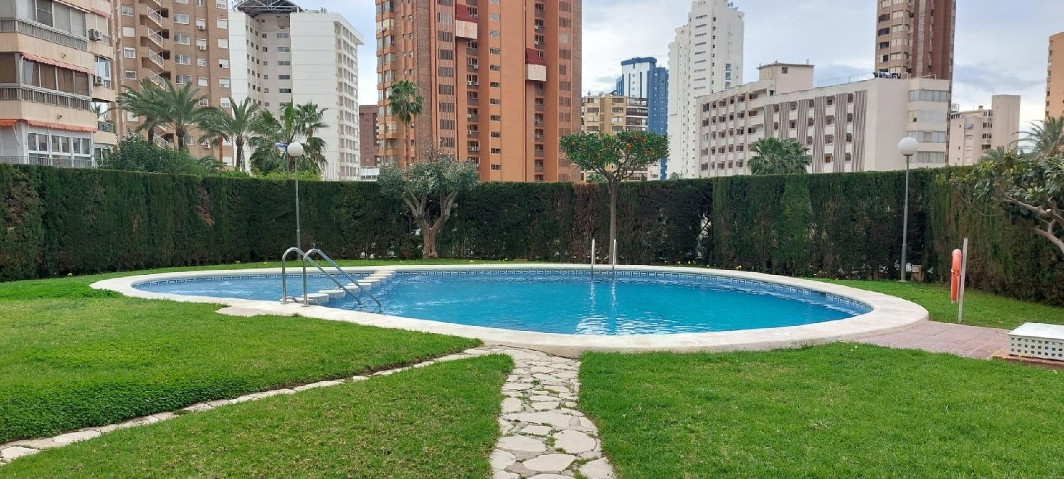  for sale apartment Benidorm (Centro) Marina Baixa 1