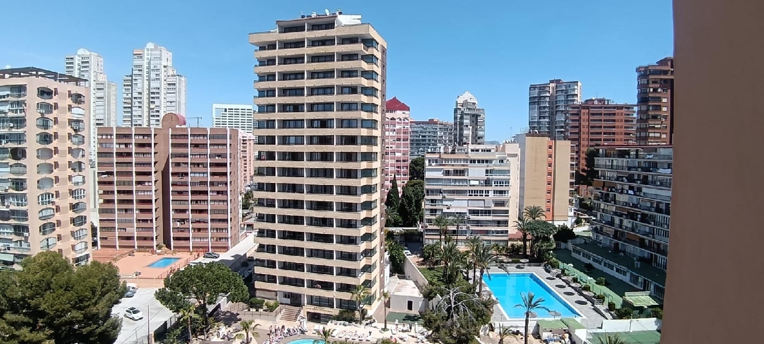  en venta apartamento Benidorm (Centro) Marina Baixa 2