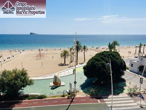 Benidorm (Centro) Marina Baixa appartement foto 6371586