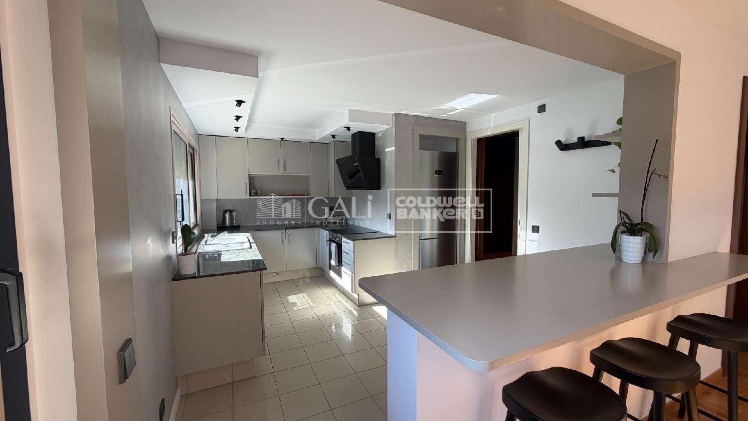  kaufen Wohnung Escaldes-Engordany Escaldes-Engordany 4