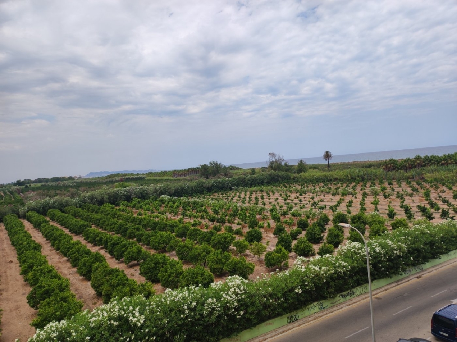  à vendre appartement Gandía 46701 Safor 6