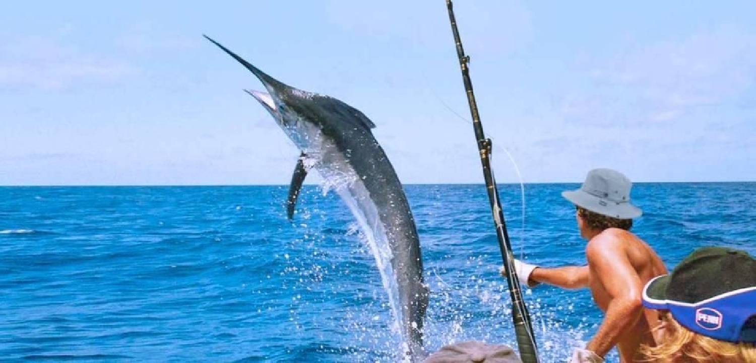  for sale apartment Guardamar Del Segura Baix Segura 4