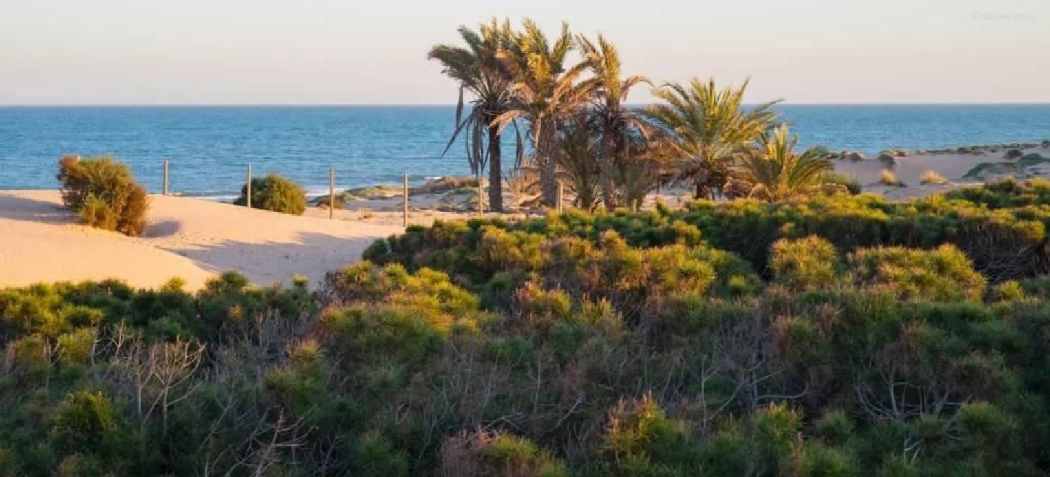  for sale apartment Guardamar Del Segura Baix Segura 2