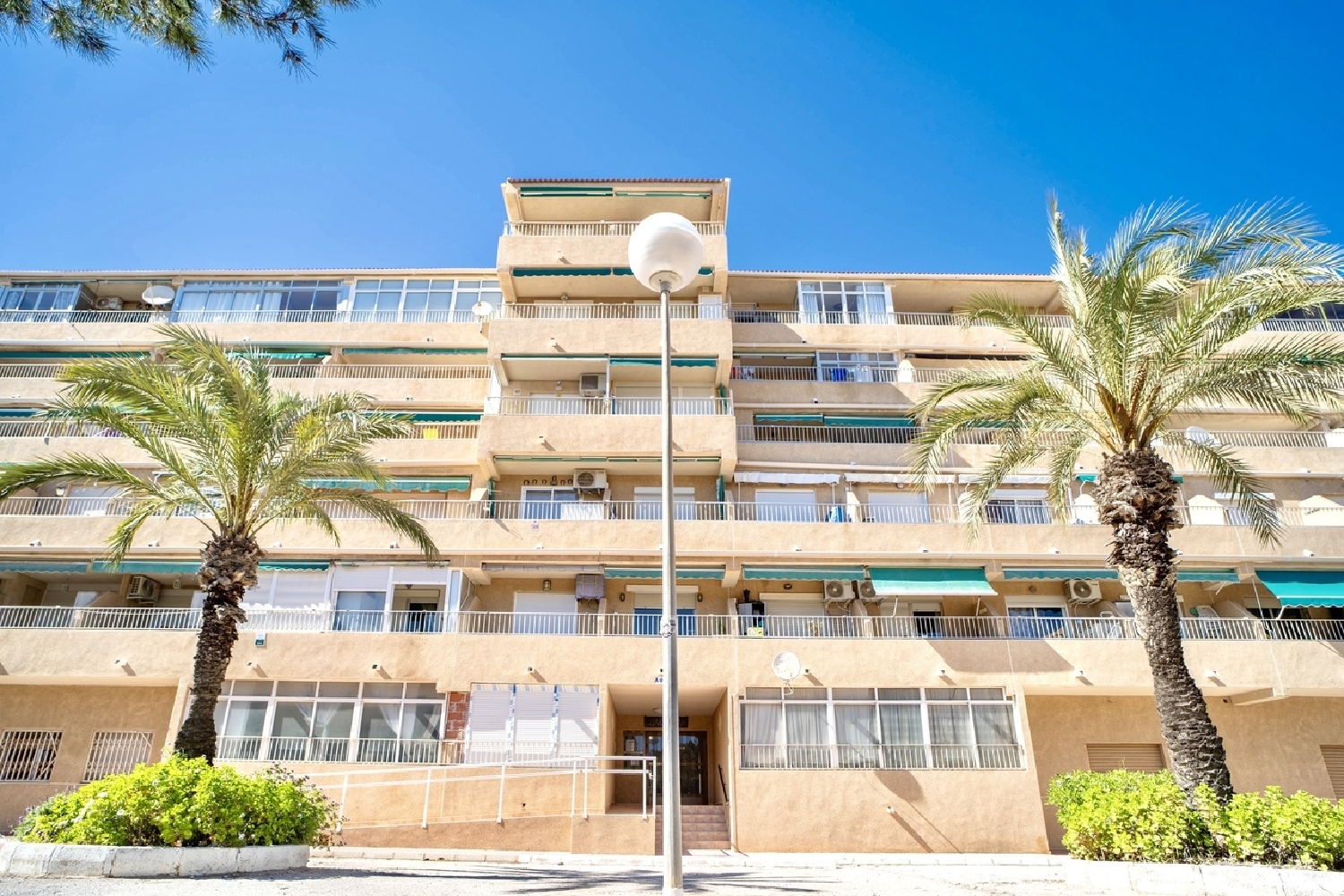  en venta apartamento Guardamar Del Segura Baix Segura 1