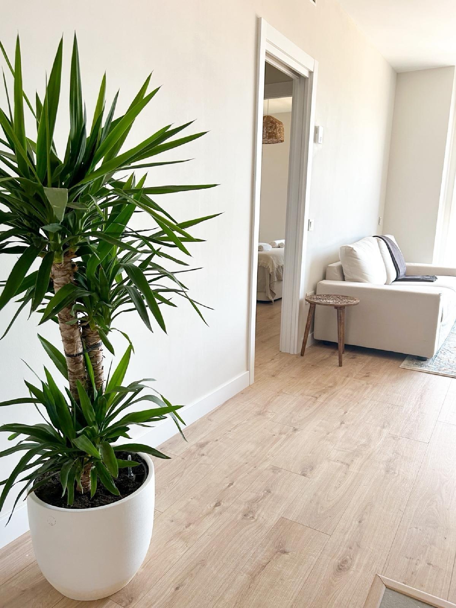  à vendre appartement Málaga Del Fresno Campiña 6