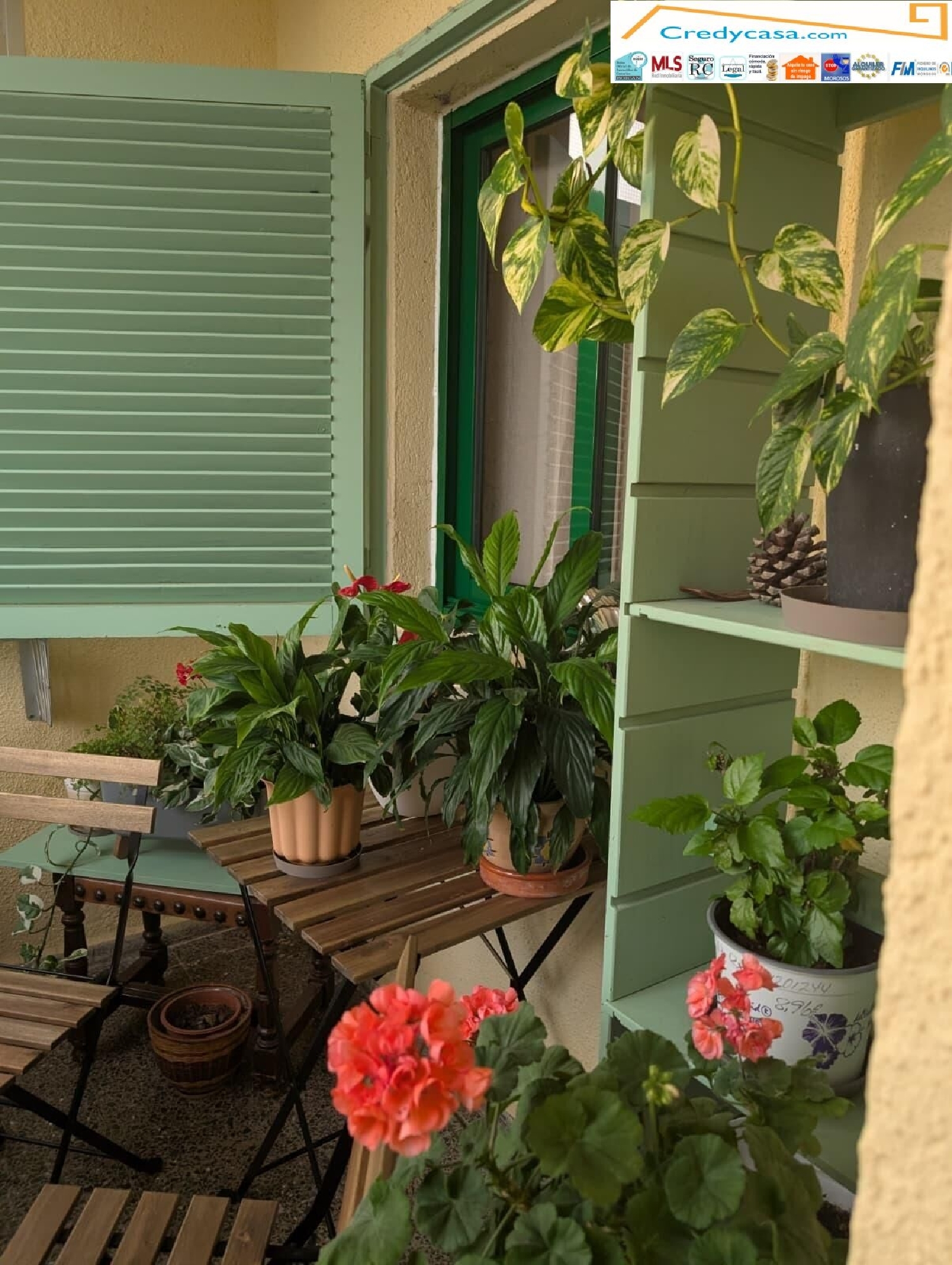  à vendre appartement Maroñas Noya 5