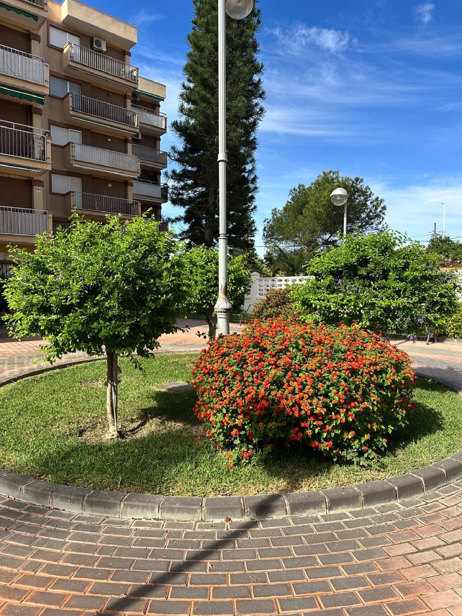  till salu lägenhet Motril Costa Tropical 3