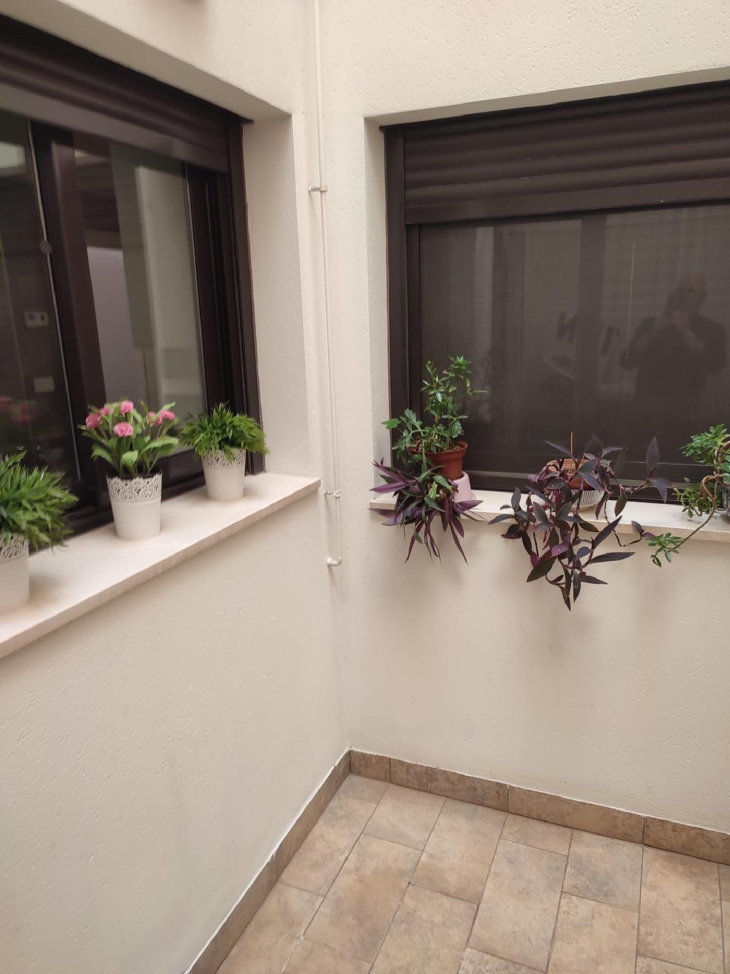  à vendre appartement Orihuela Baix Segura 7