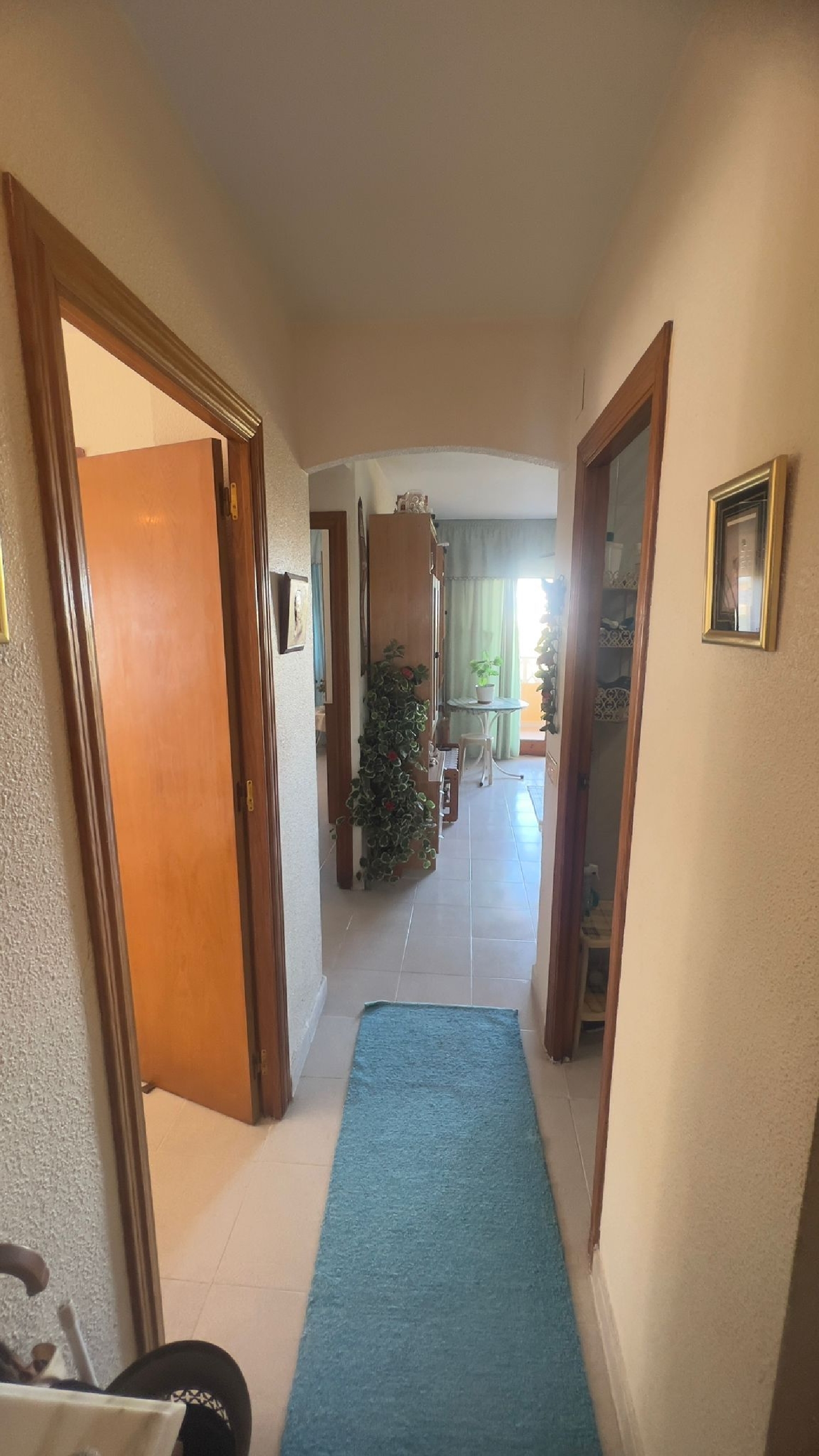  kaufen Wohnung Orihuela Costa Baix Segura 4