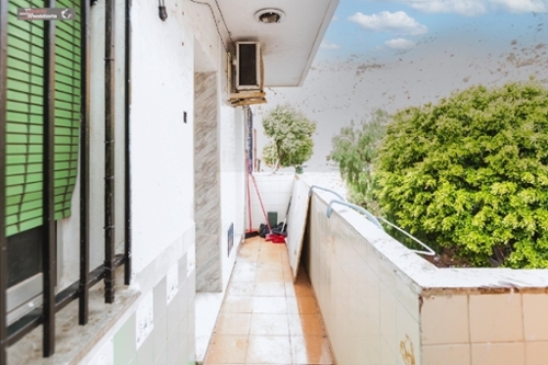 Palmeria Marina Alta appartement foto 6370547