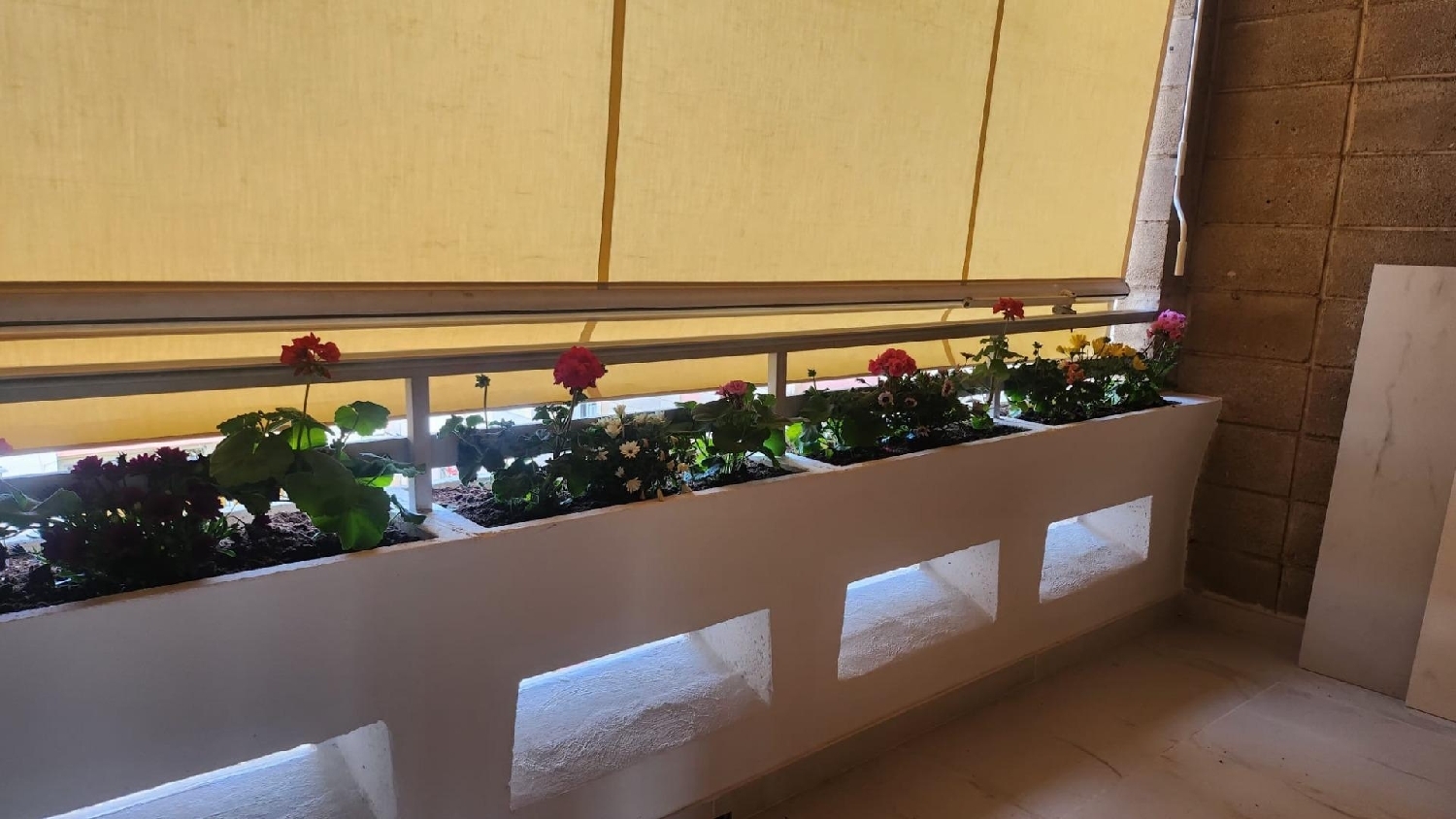  for sale apartment Petrer Vinalopó Mitjà 5