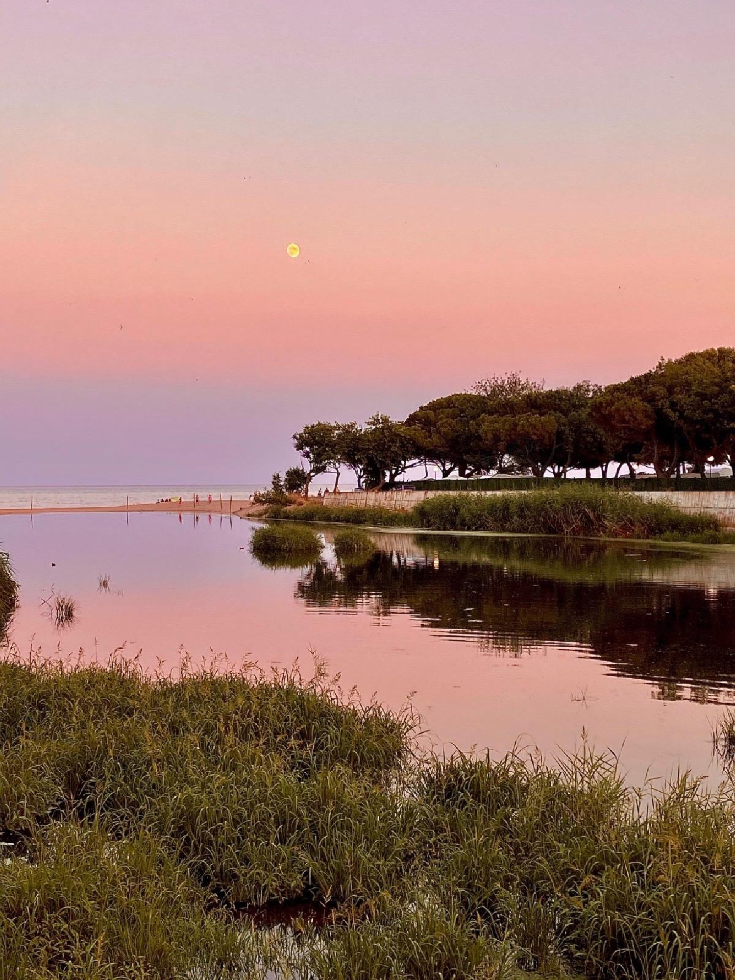  en venta apartamento Platja D'aro Baix Empordà 8