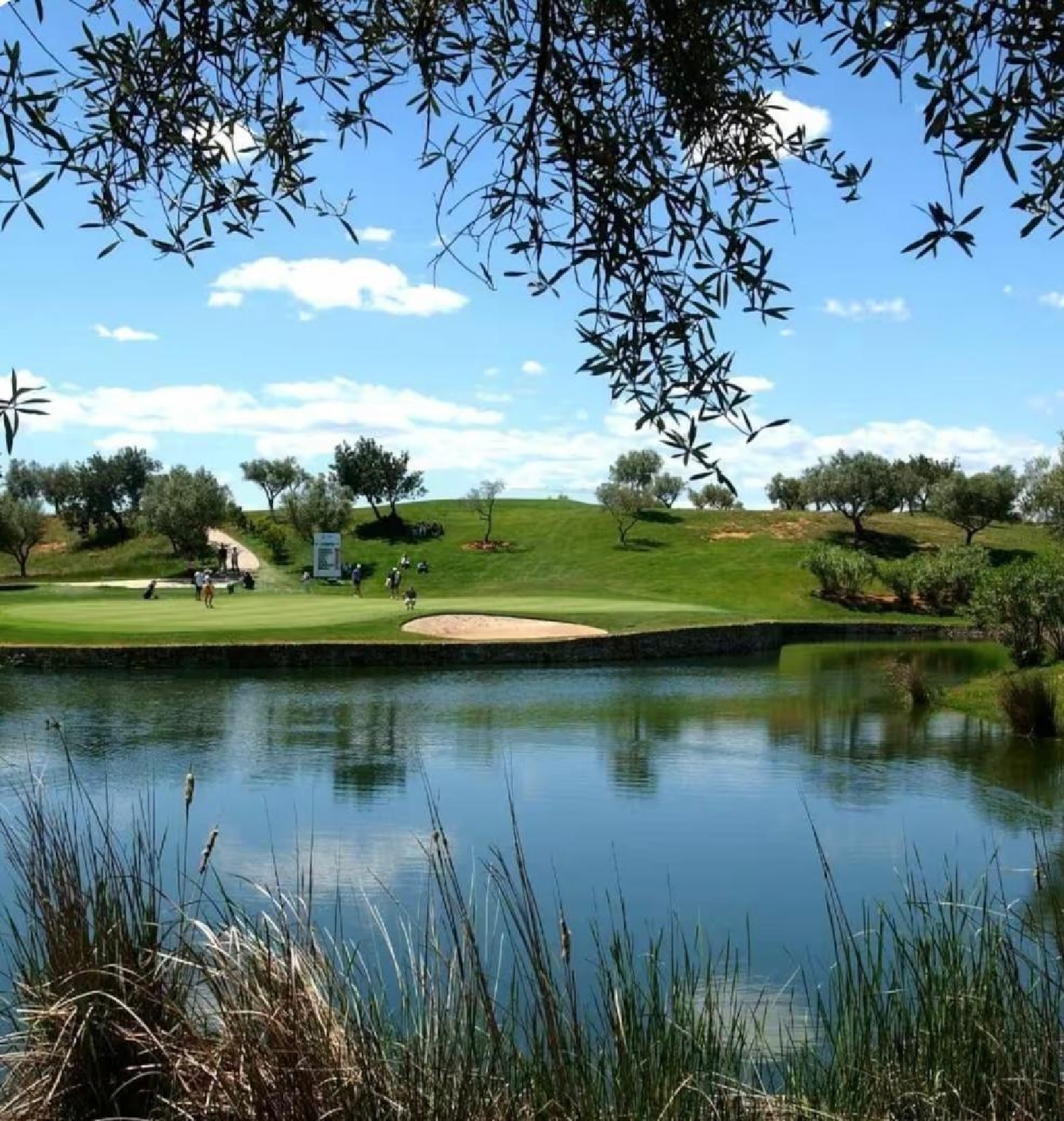  en venta apartamento San Jorge Baix Maestrat 4