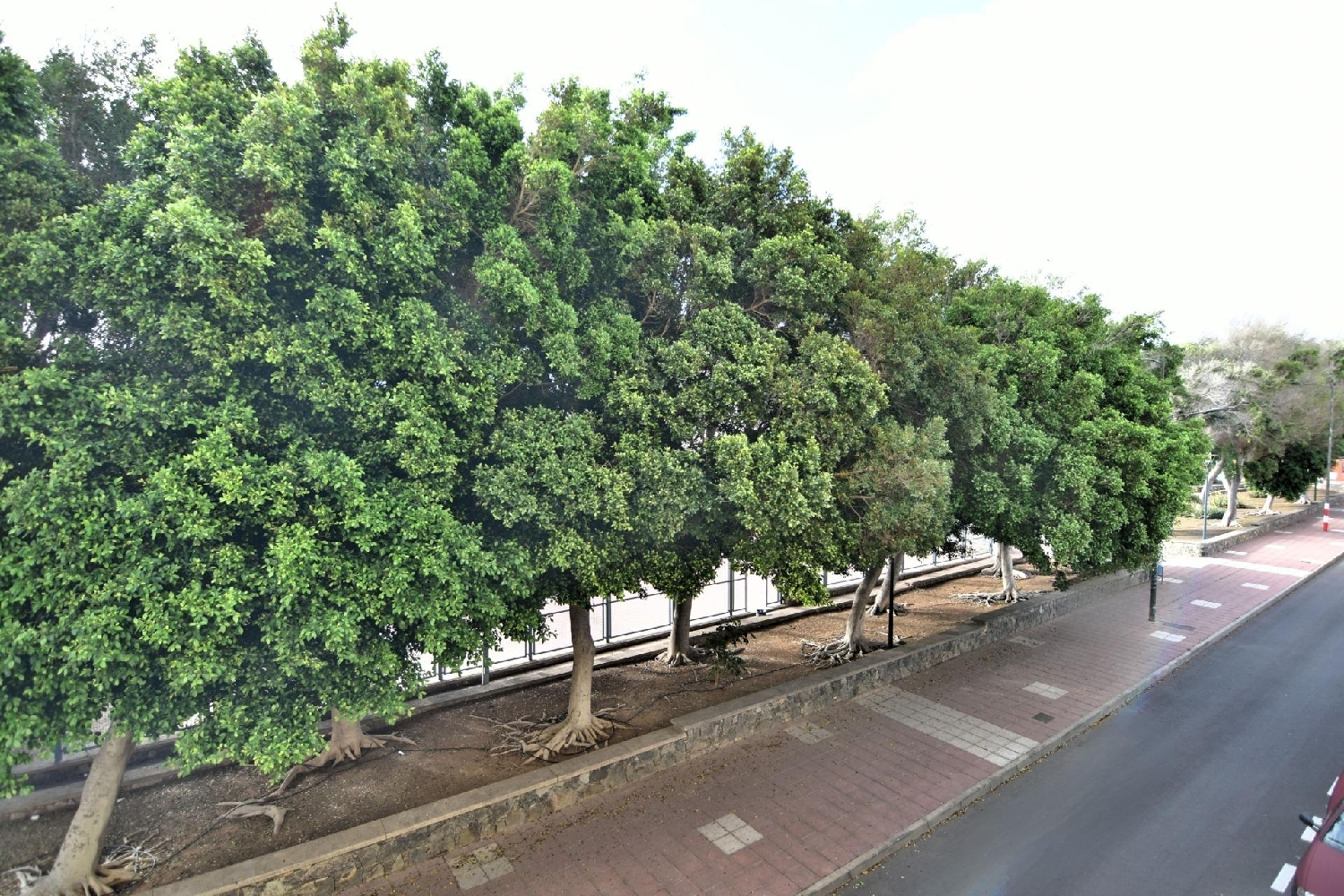  kaufen Wohnung Santa Lucia De Tirajana Área Sur 4