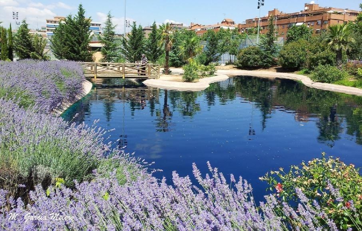  till salu lägenhet Torrejón De Ardoz Cuenca Del Henares 1