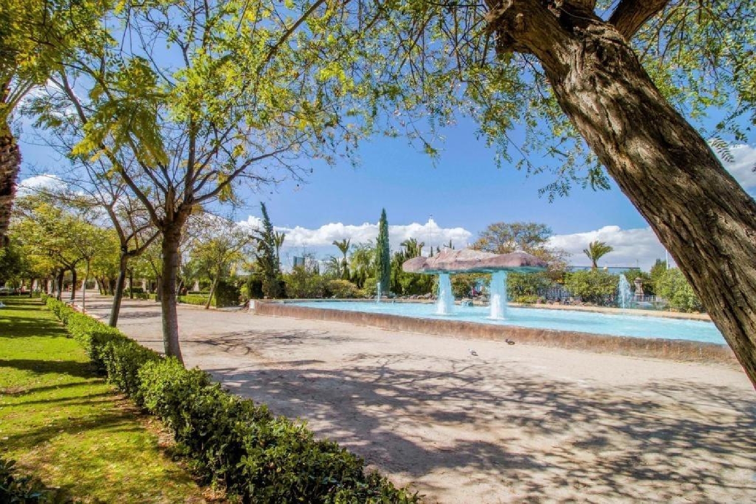  en venta apartamento Torrevieja Baix Segura 5