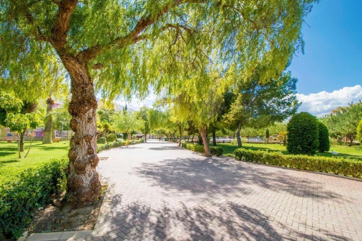  en venta apartamento Torrevieja Baix Segura 6