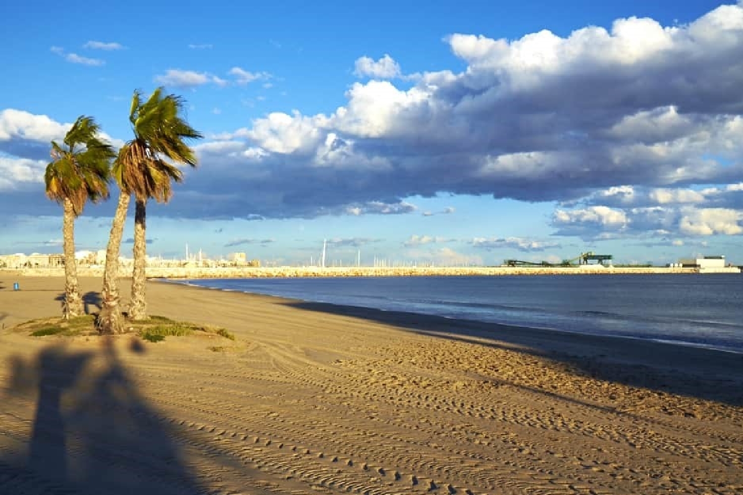  till salu lägenhet Torrevieja Baix Segura 1