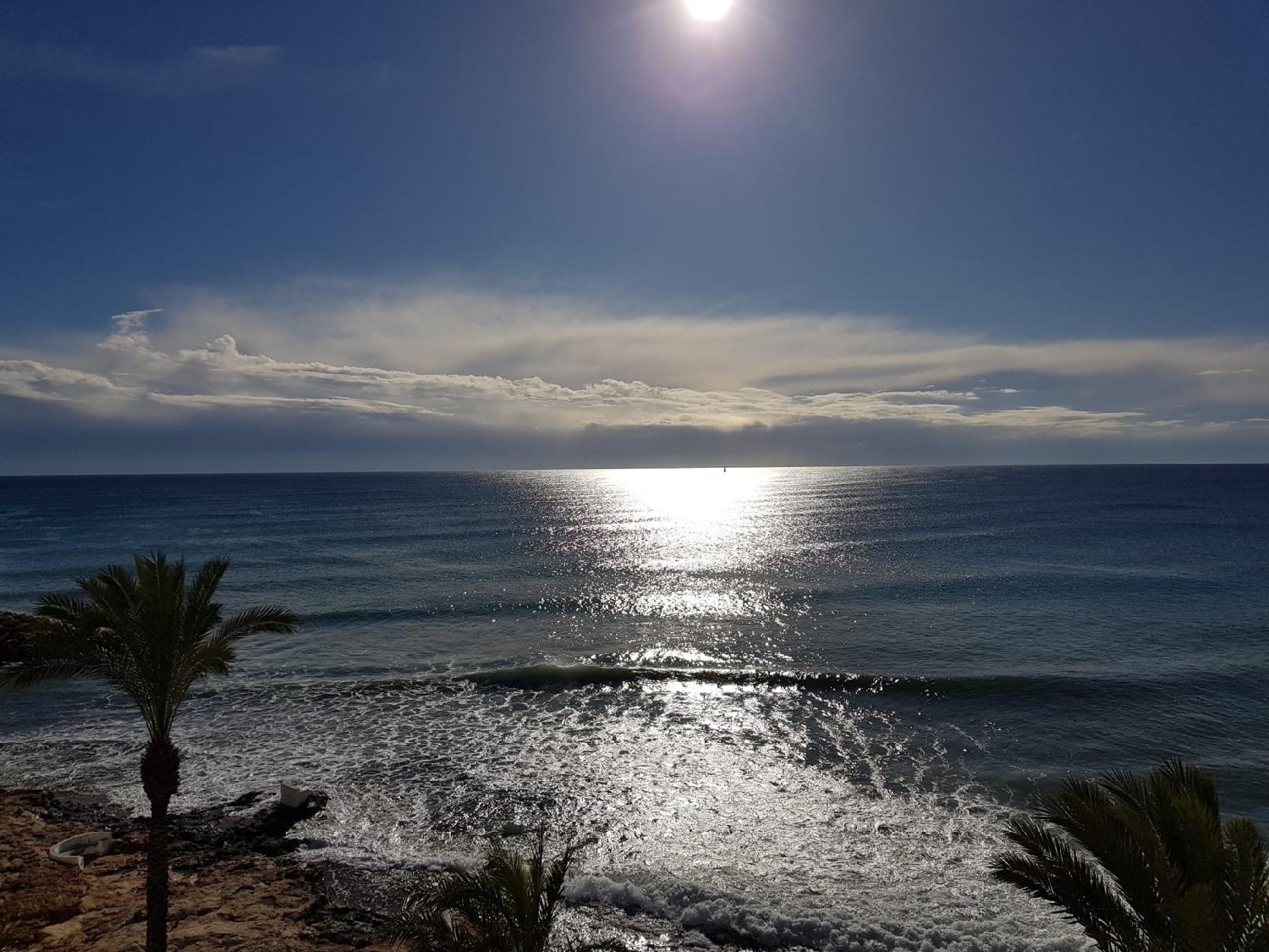  kaufen Wohnung Torrevieja Baix Segura 3