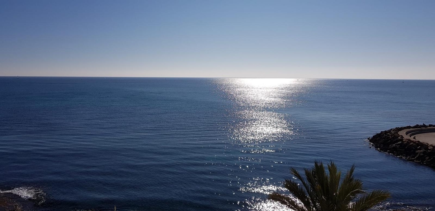  kaufen Wohnung Torrevieja Baix Segura 5