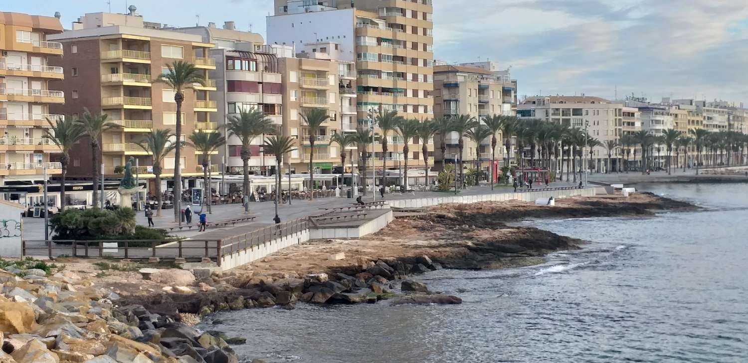  à vendre appartement Torrevieja Baix Segura 3