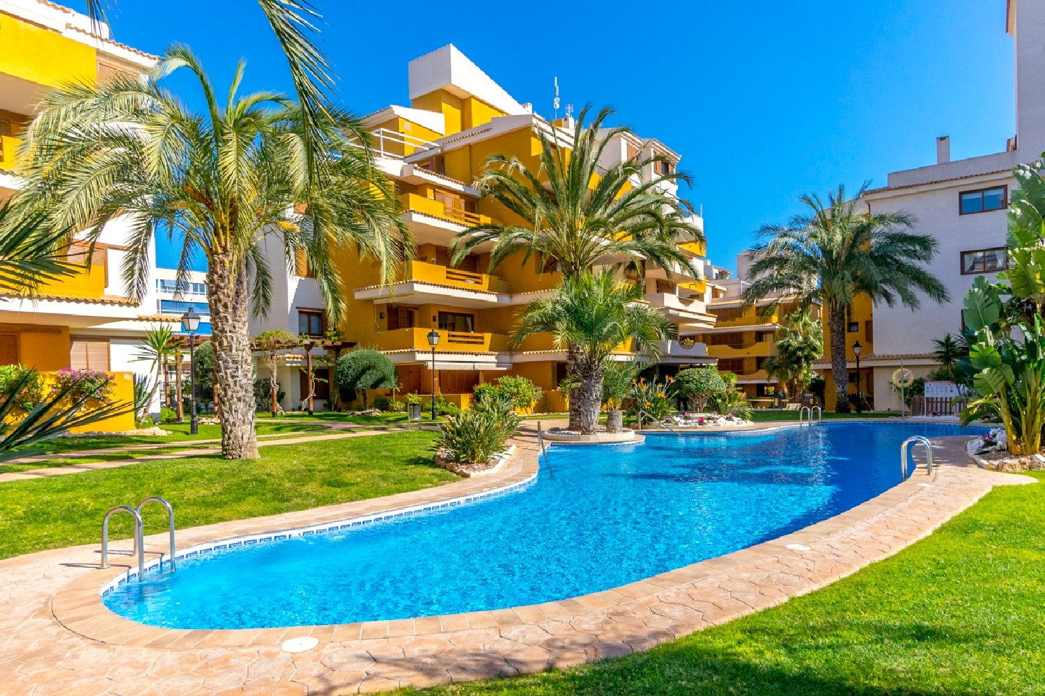  à vendre appartement Torrevieja Baix Segura 1