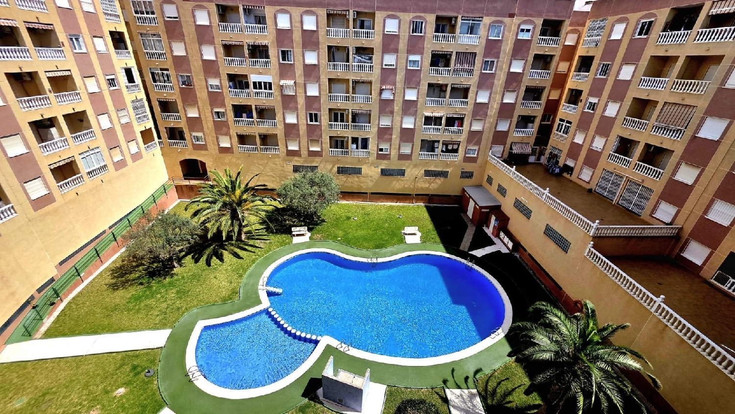  te koop appartement Torrevieja Baix Segura 1