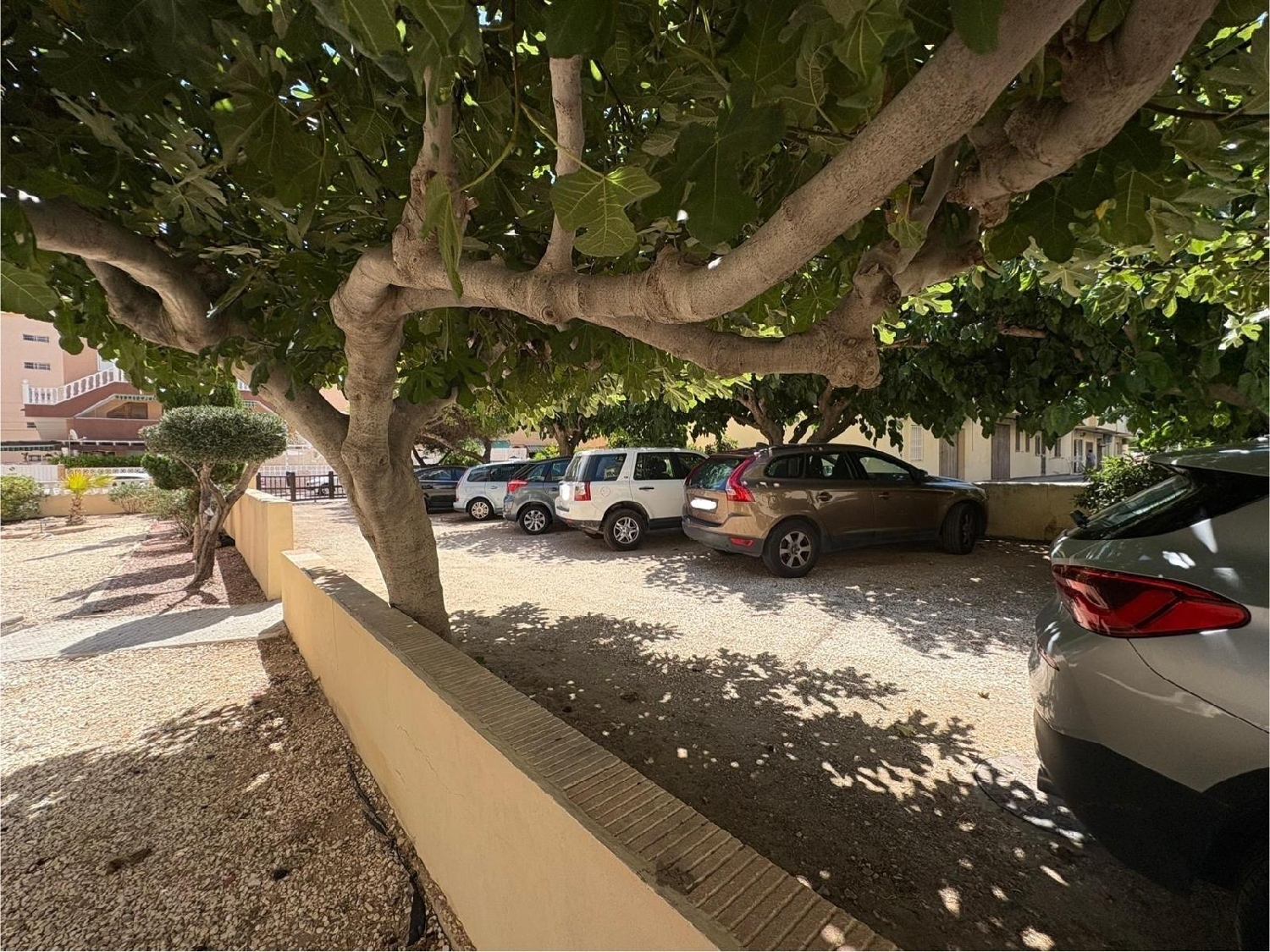  kaufen Wohnung Torrevieja Baix Segura 13