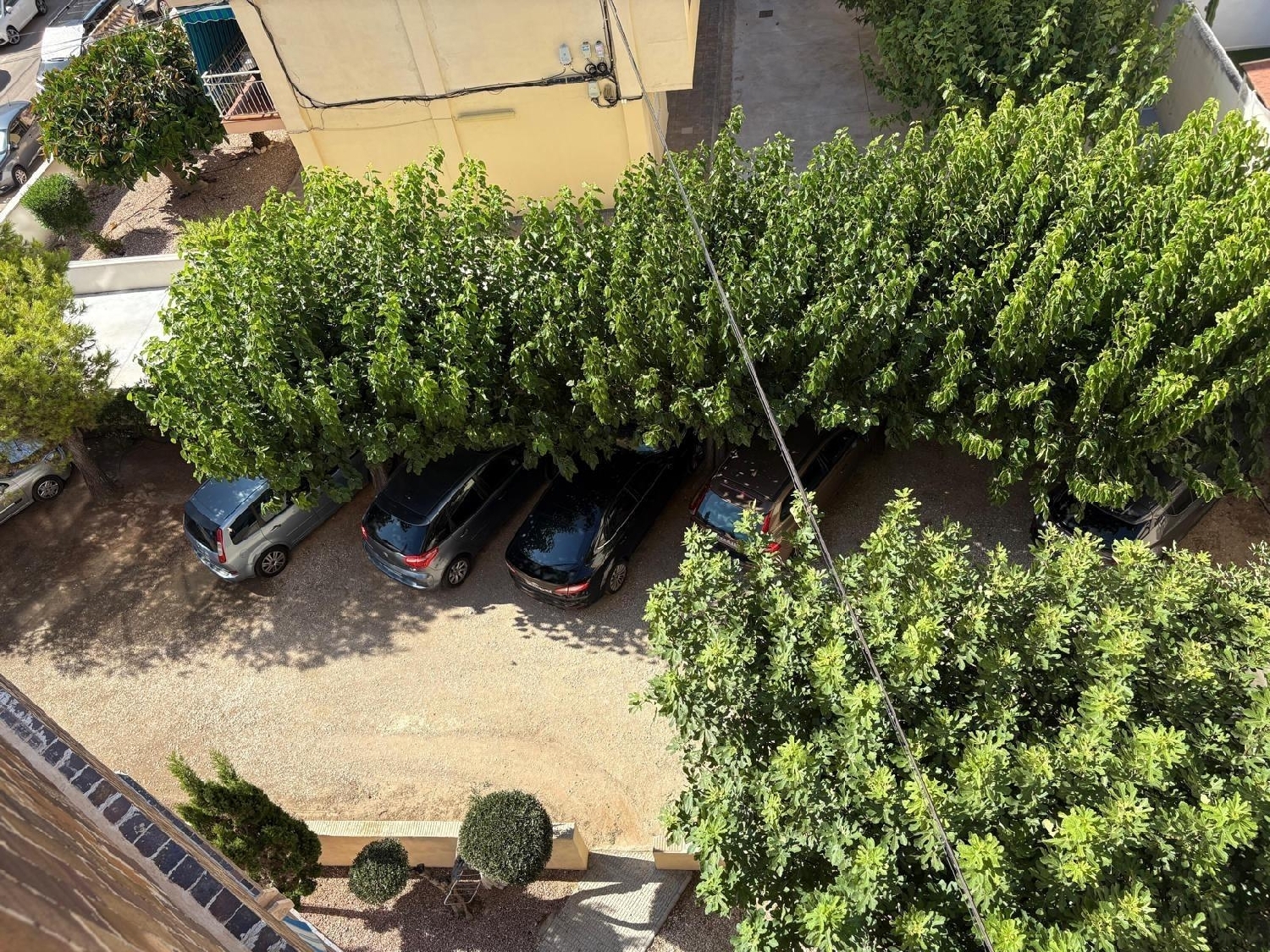  kaufen Wohnung Torrevieja Baix Segura 14