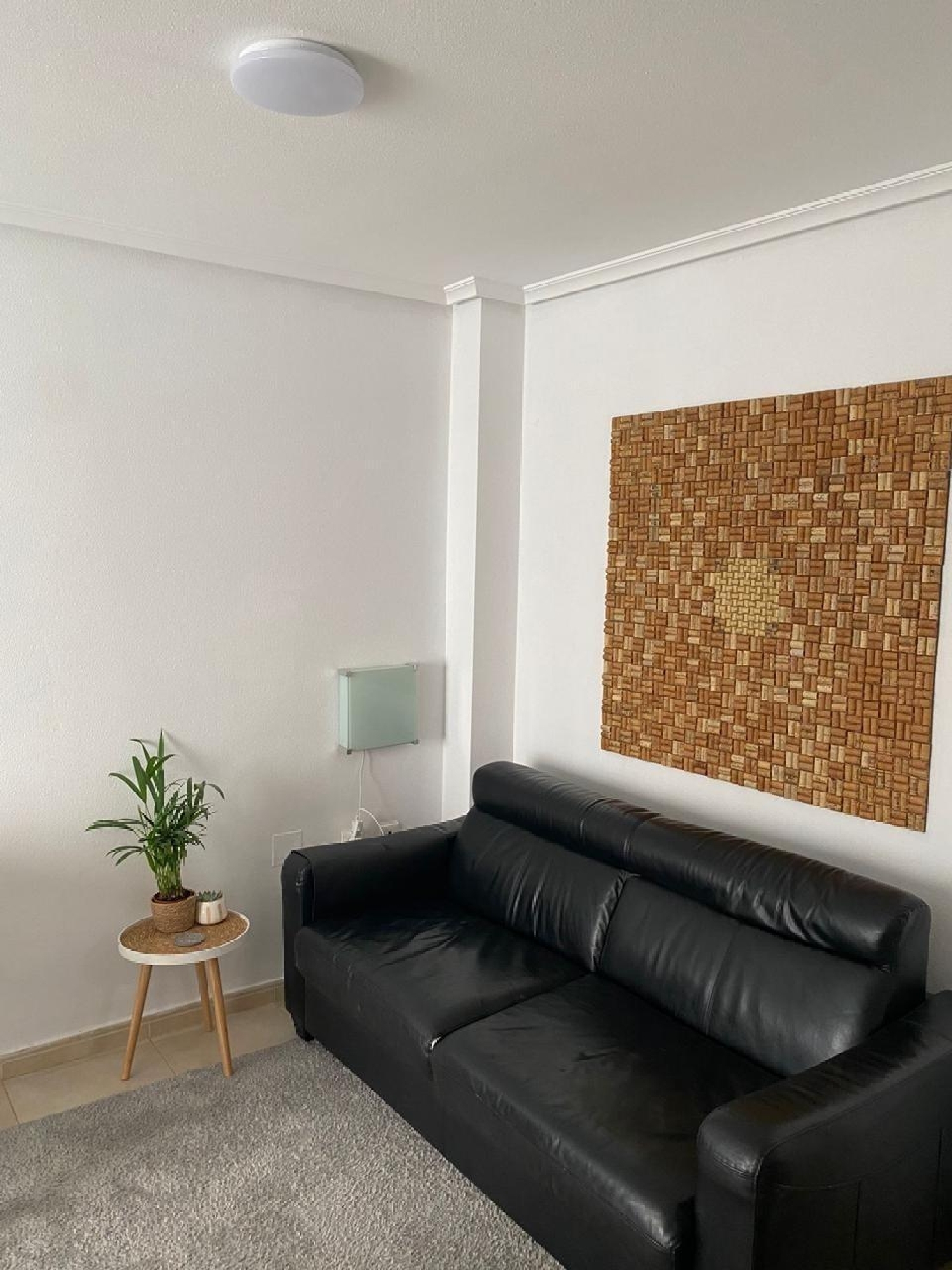  te koop appartement Torrevieja Baix Segura 6