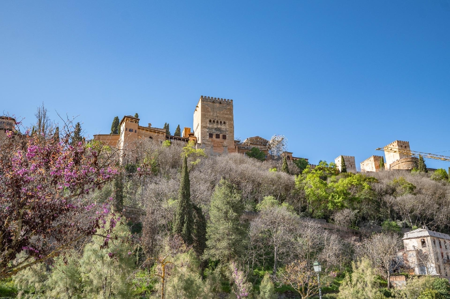  te koop gebouw Barrio De Granada Alacantí 1
