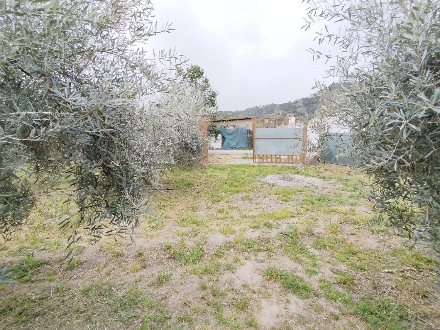  till salu hus Cenes De La Vega Vega De Granada 8