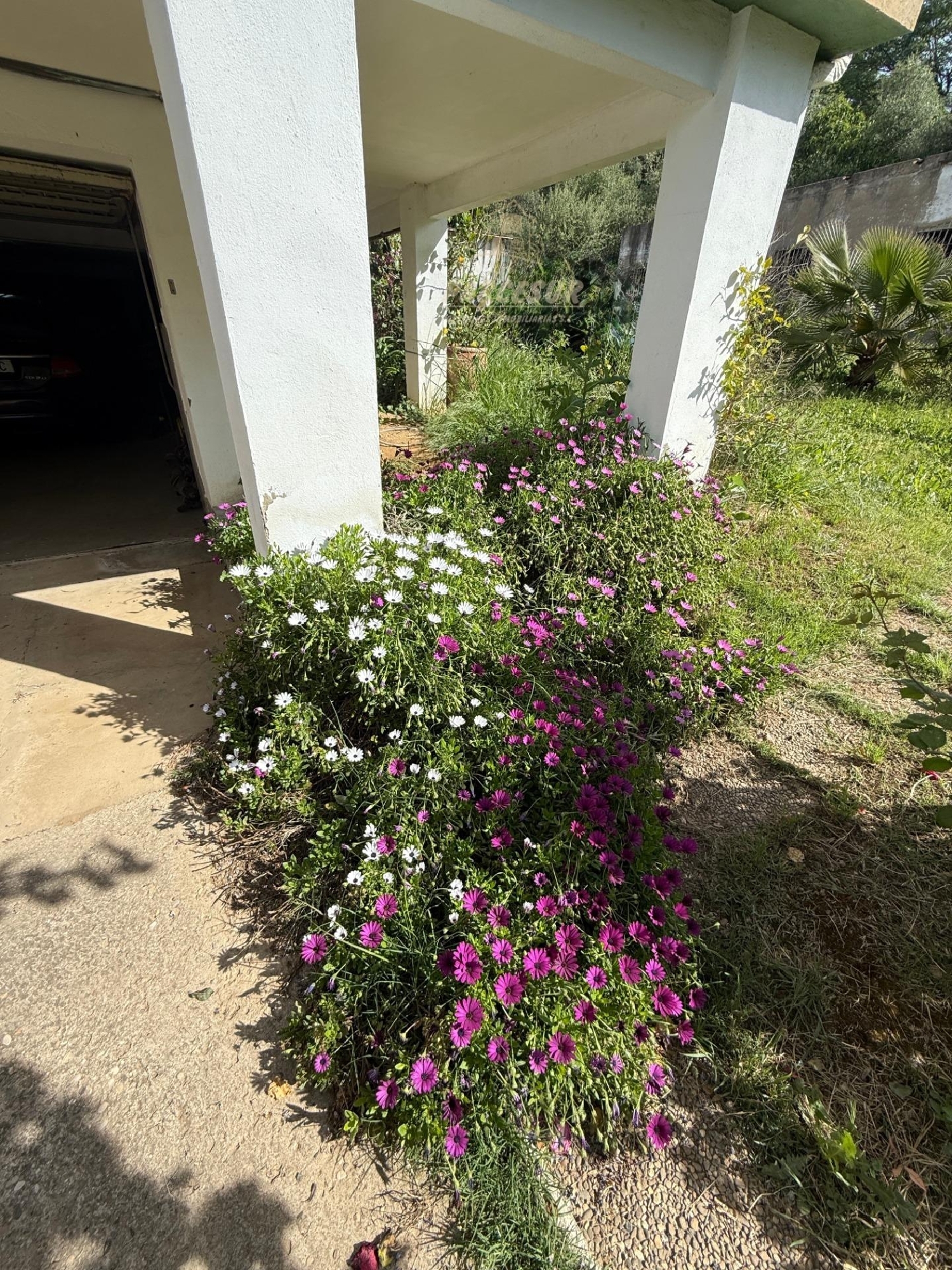  kaufen Landhaus Almodóvar Del Río Valle Medio Del Guadalquivir 3
