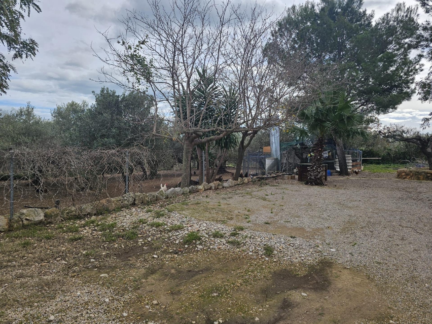  kaufen Landhaus Amposta Montsià 3