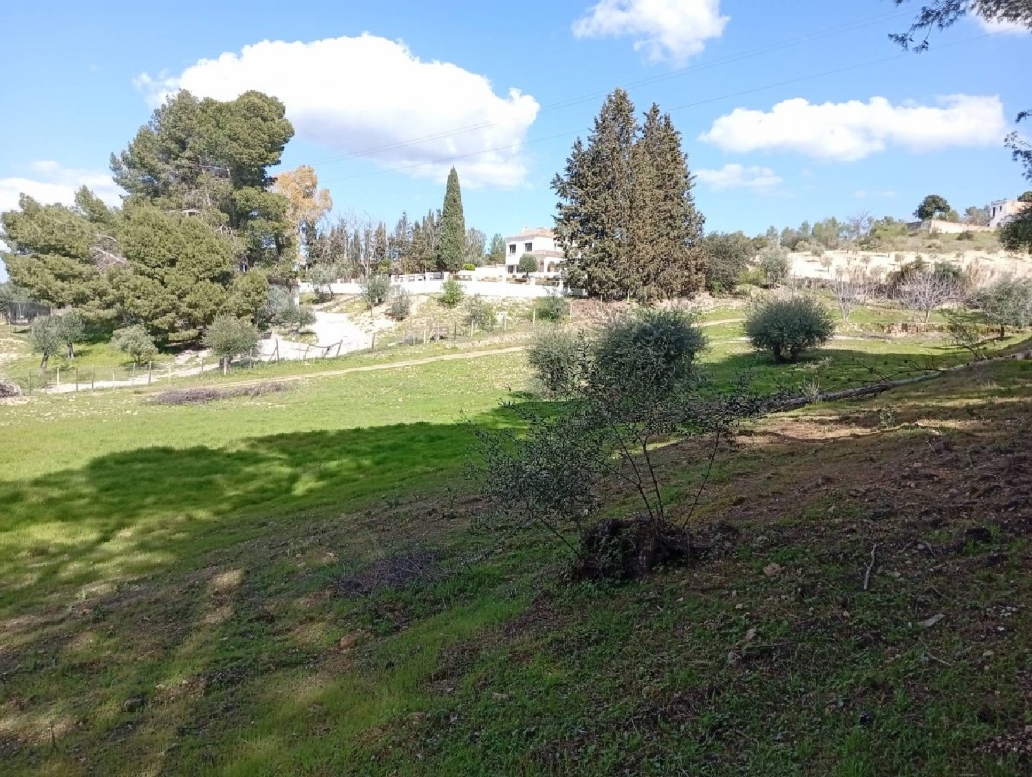  till salu hus på landet Arriate Serranía De Ronda 8
