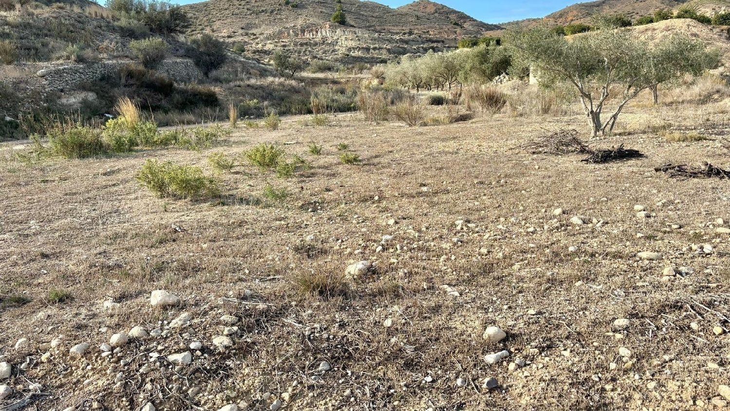  for sale country house Aspera Bergantiños 7