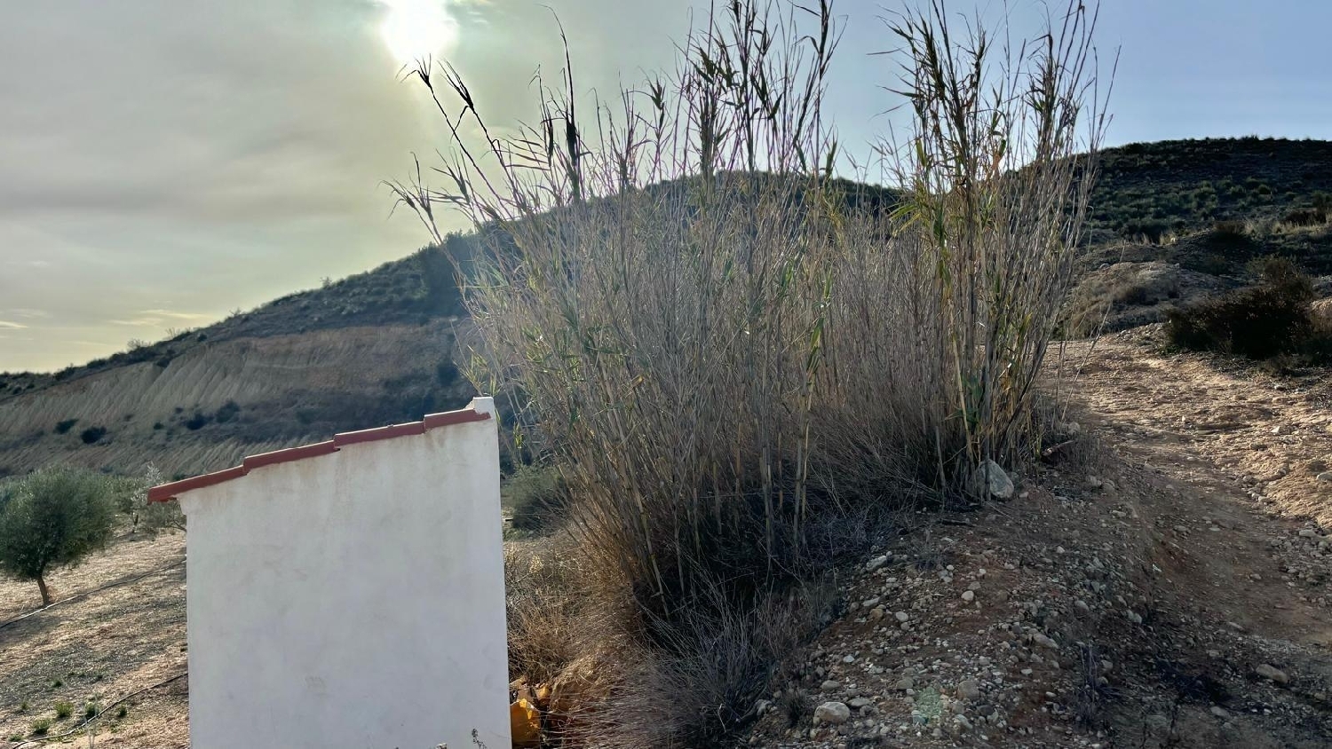  for sale country house Aspera Bergantiños 3