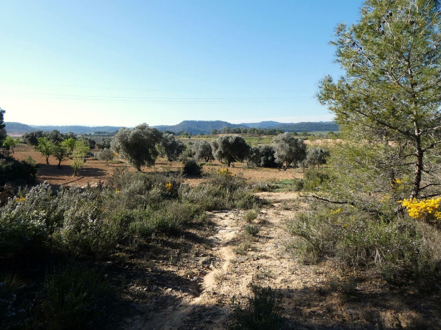  till salu hus på landet Batea Terra Alta 8