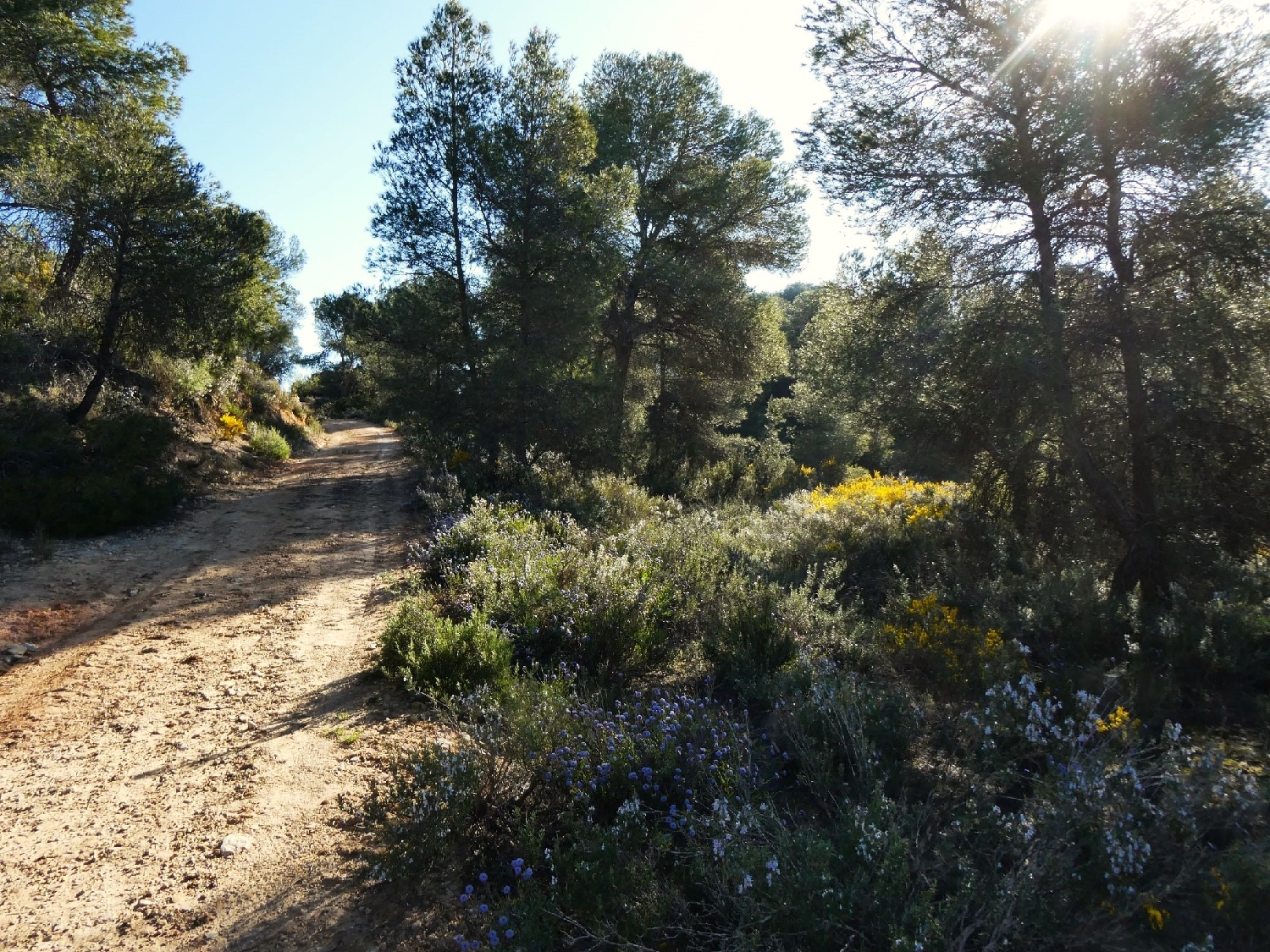  till salu hus på landet Batea Terra Alta 4