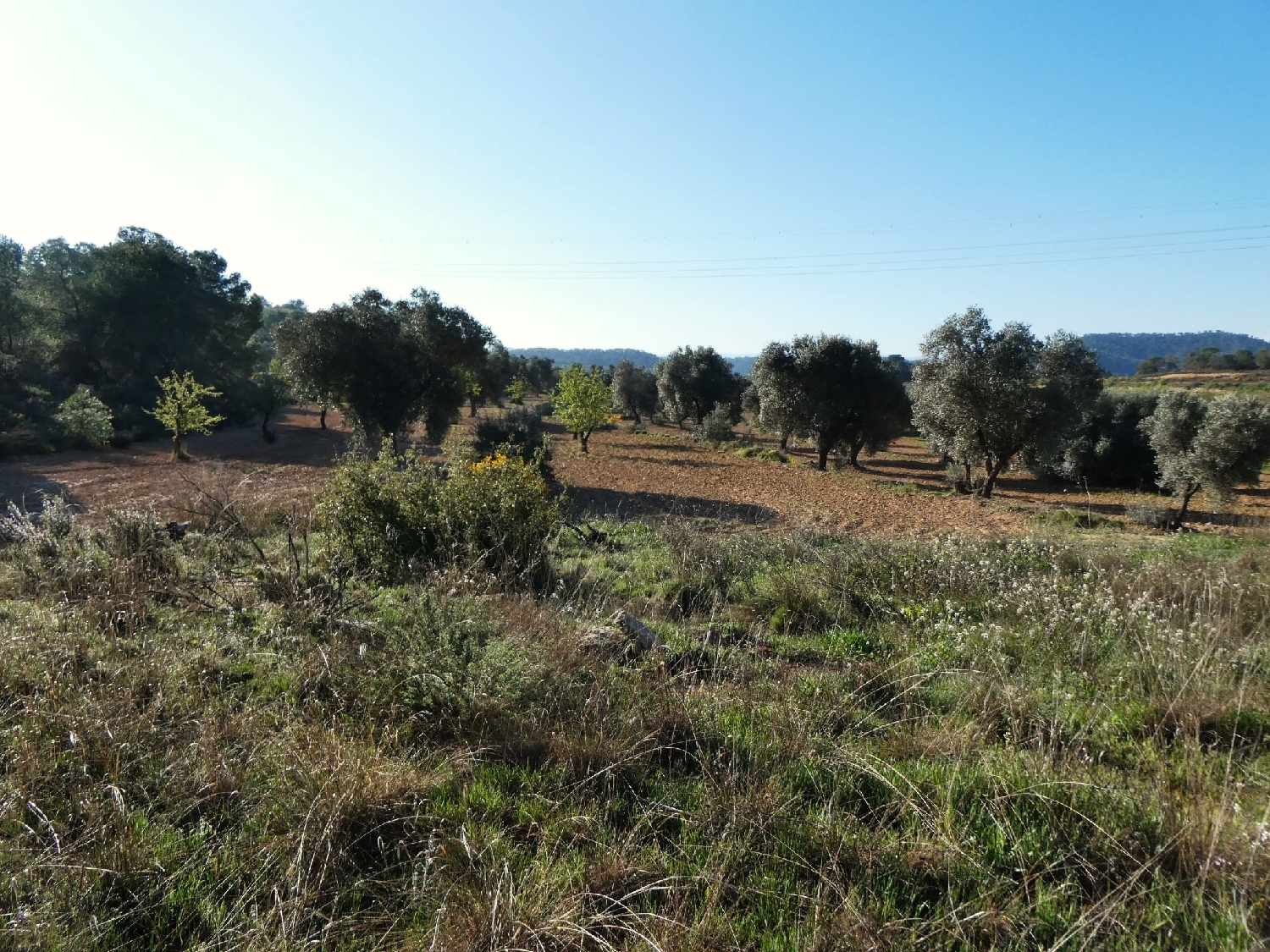  till salu hus på landet Batea Terra Alta 10
