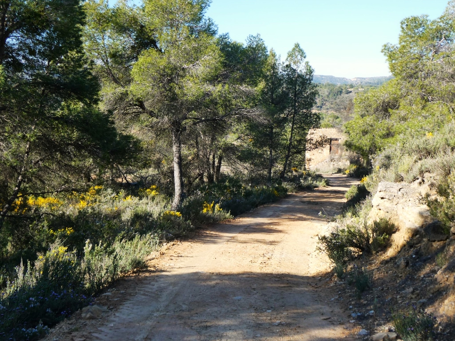  till salu hus på landet Batea Terra Alta 3