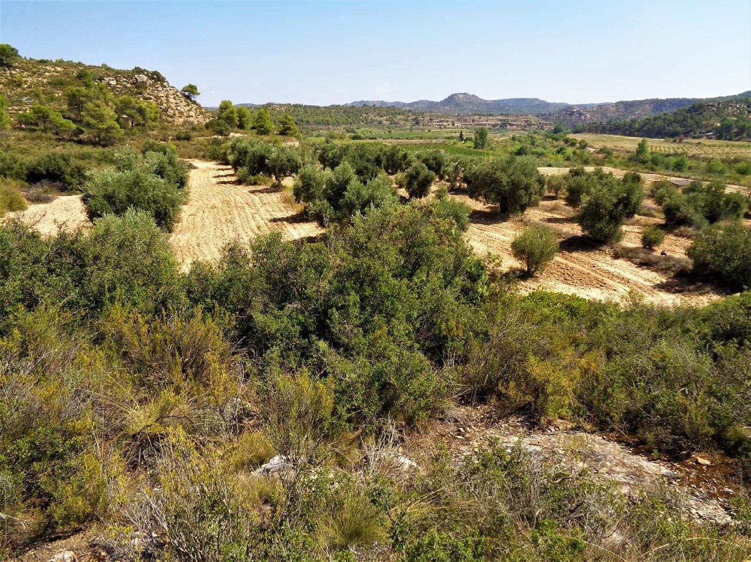  kaufen Landhaus Batea Terra Alta 9