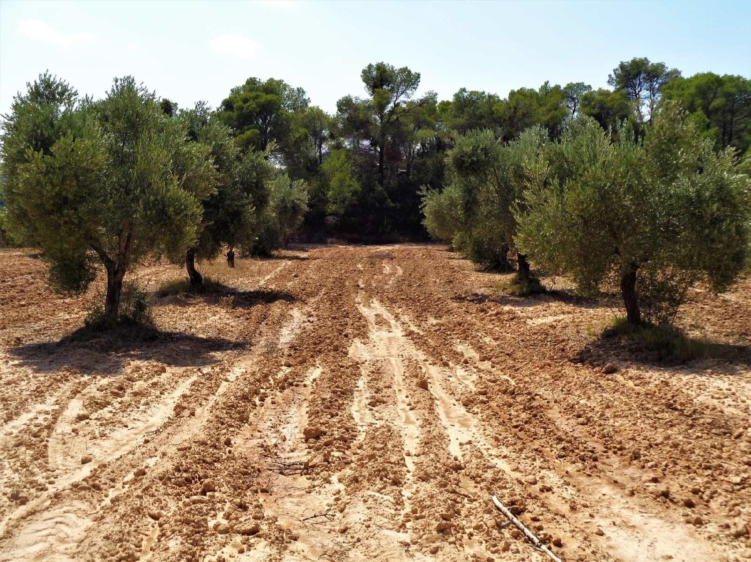  kaufen Landhaus Batea Terra Alta 8