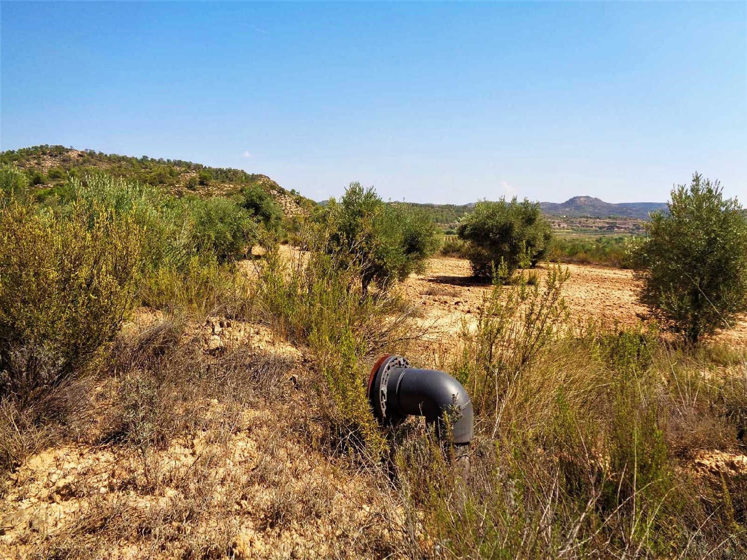  kaufen Landhaus Batea Terra Alta 3