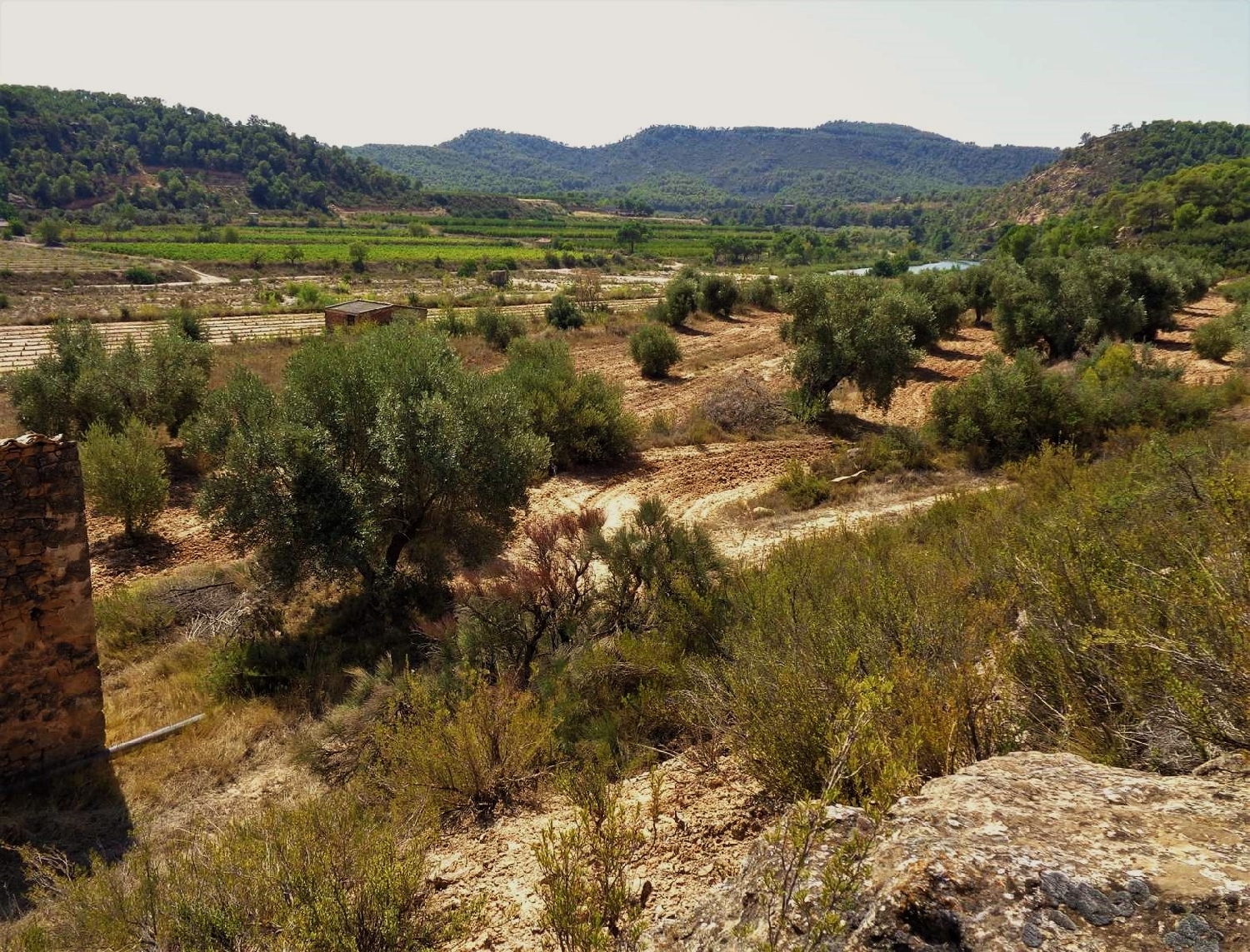  kaufen Landhaus Batea Terra Alta 14
