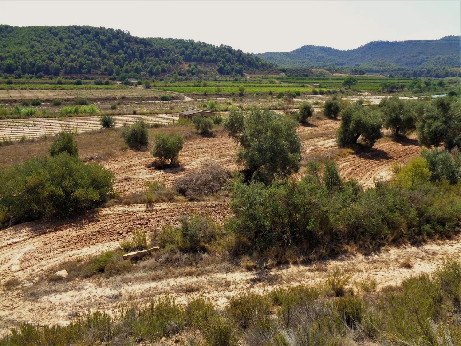  kaufen Landhaus Batea Terra Alta 11