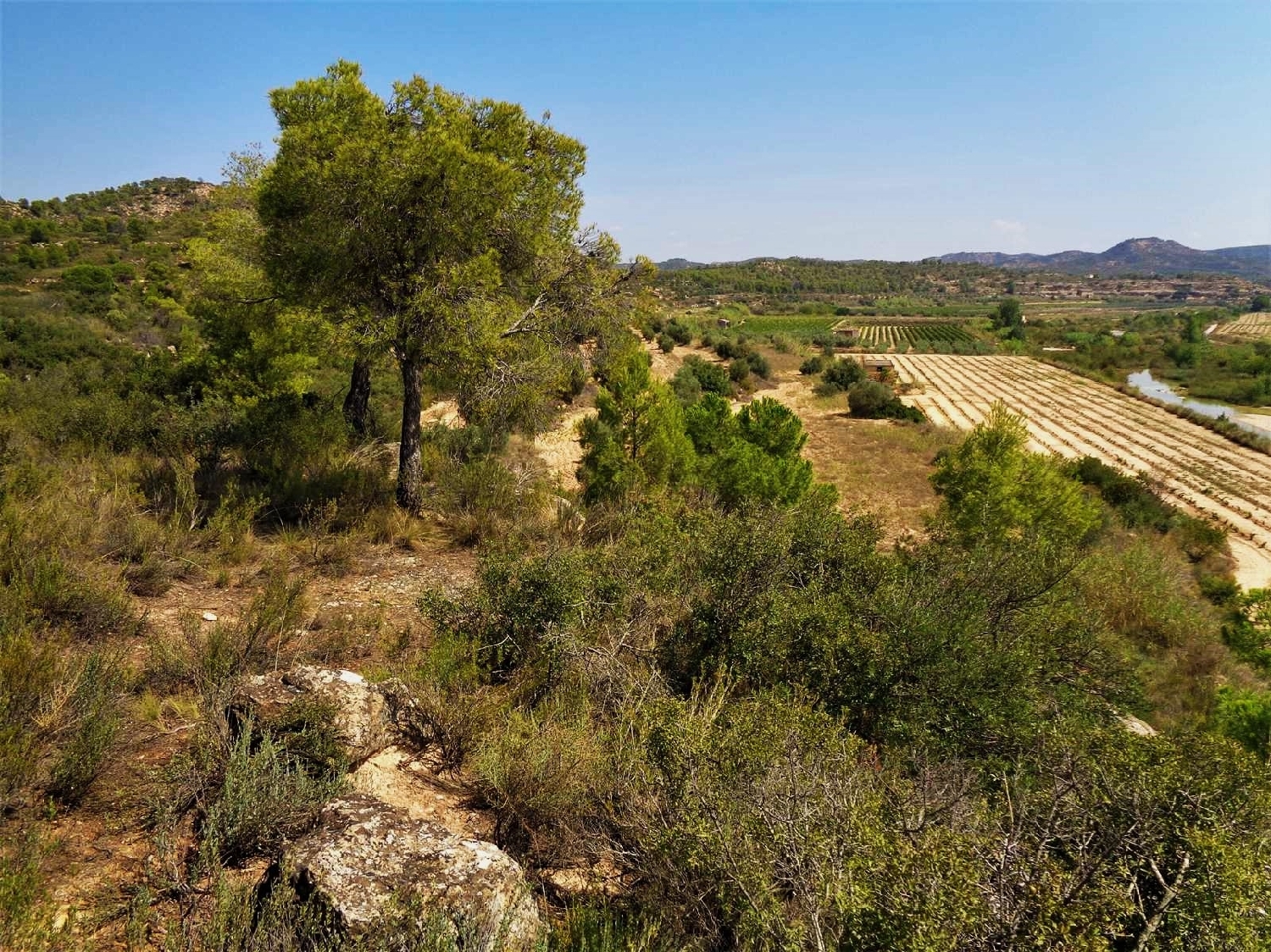  kaufen Landhaus Batea Terra Alta 5