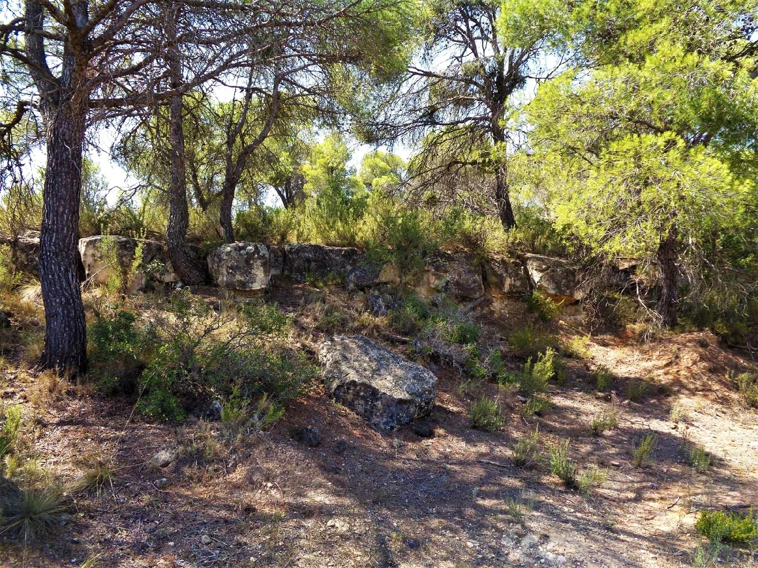  kaufen Landhaus Batea Terra Alta 6